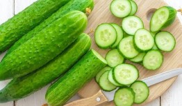 吃瓜祁可爱 朝阳吃瓜网,揭秘朝阳吃瓜网背后的热点追踪